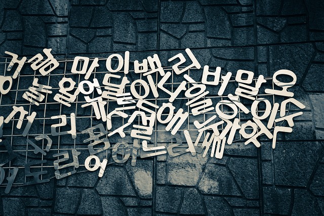 철도교통안전관리자 필기 교통안전관리론 사고 조사 절차 및 인간 에러 Human Error 배후 요인 완전 정리