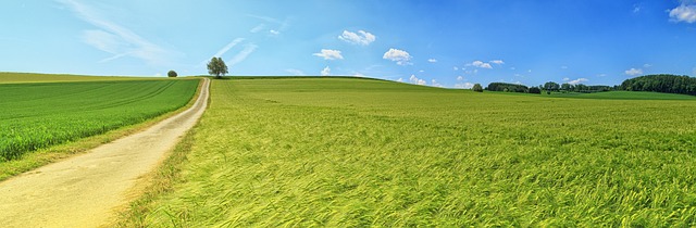 정화조 오물 수수료와 소독비 항목 뜯어보기｜알고 보니 불필요하게 부과되던 부대비용 잡기